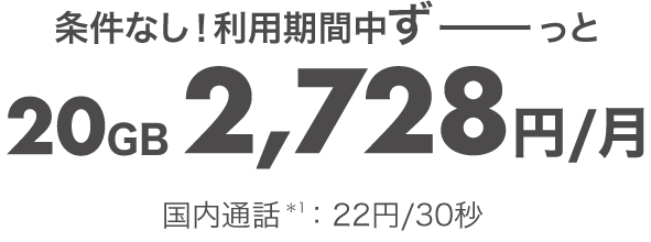 オンライン専用(★)料金プラン 条件なし!利用期間中ずっと20GB 2,480円/月(税抜)(税込2,728円/月) 国内電話:税込22円/30秒